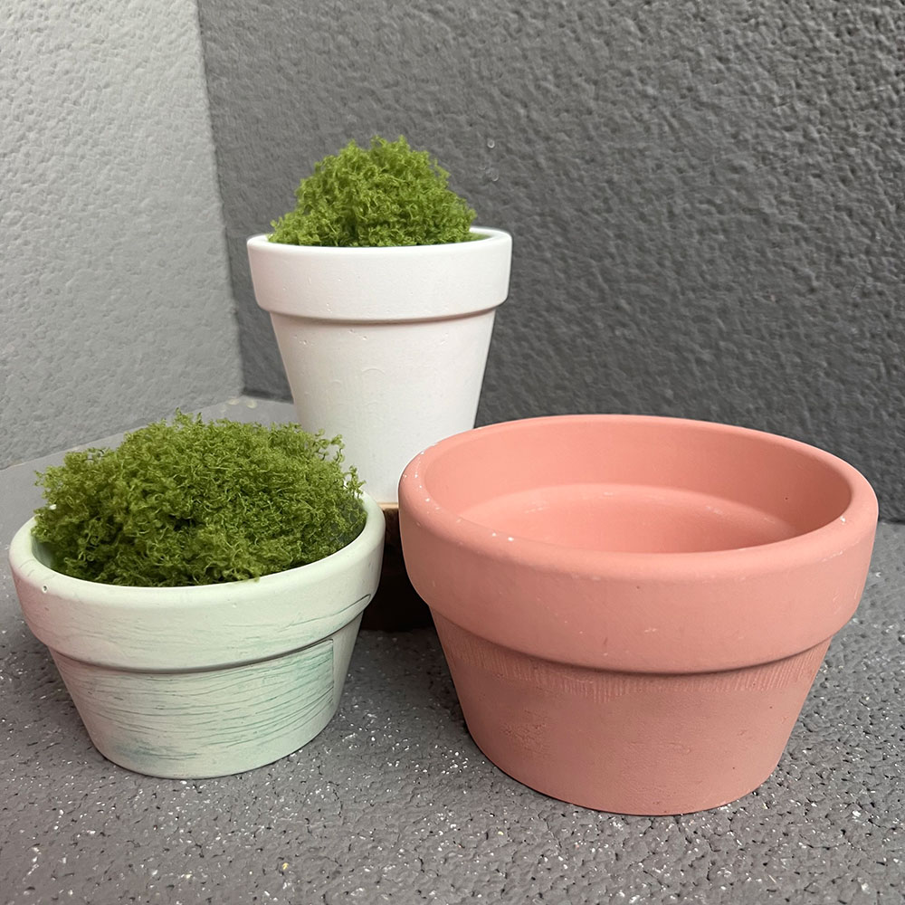 Large Concrete Plant Pot Silic - đánh giá và giá Terrazzo Pot Cement